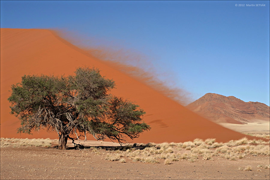 R0014954_Namibia.jpg