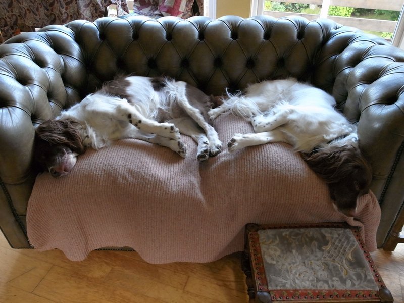 symmetry.JPG