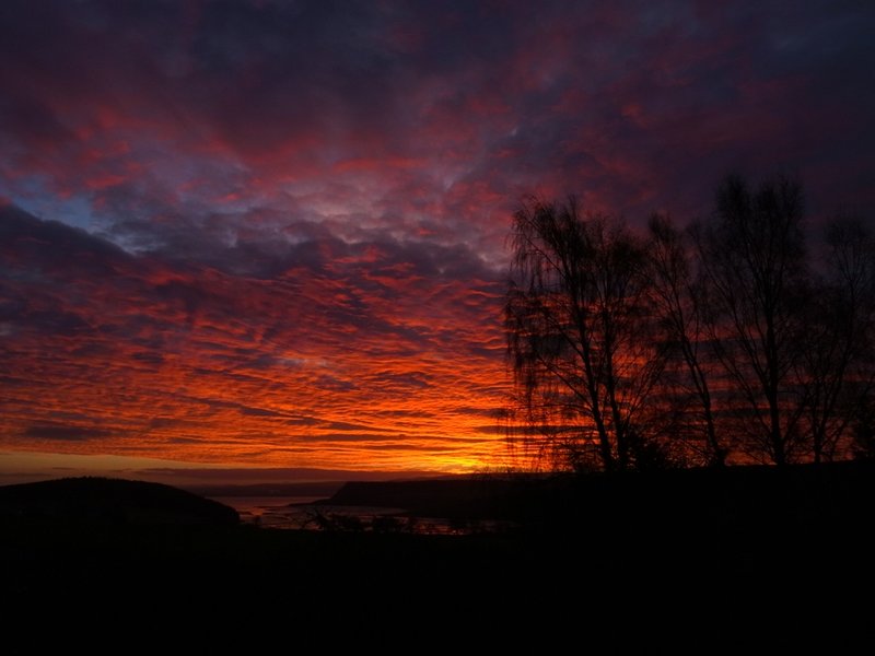 sunrise 241114.JPG