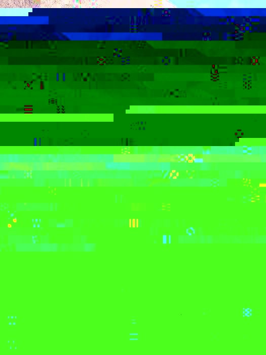 R0032095pse2 (525 x 700).jpg