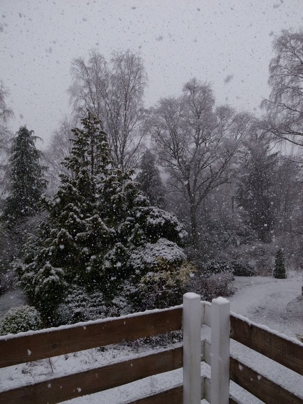 23 Feb 15.JPG